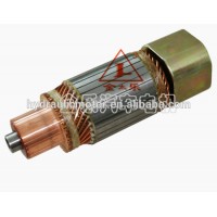 Customized light armature for motor